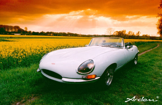 e_type_poster.jpg